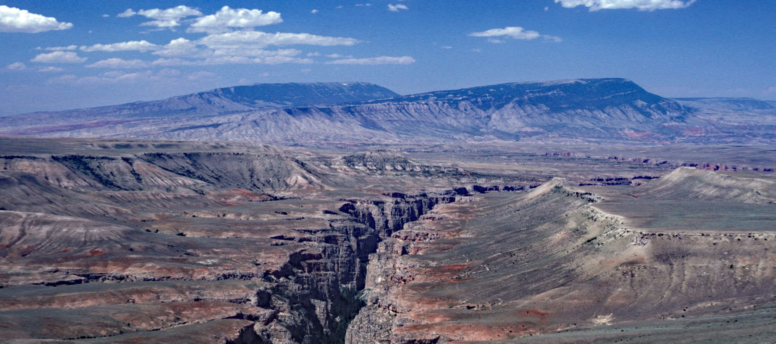 Welcome to the Pryors — The Pryor Mountains